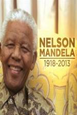 Nelson Mandela The Fight for Freedom