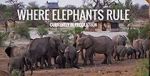 Where Elephants Rule