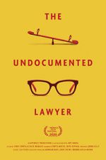 The Undocumented Lawyer