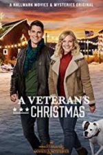 A Veteran\'s Christmas