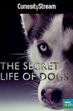 Secret Life of Dogs