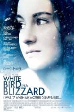 White Bird in a Blizzard