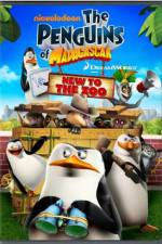 Penguins of Madagascar New to the Zoo