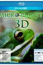 MicroPlanet 3D