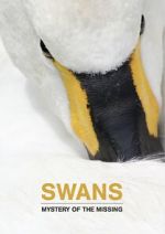 Swans: Mystery of the Missing