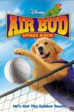 Air Bud Spikes Back