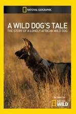 A Wild Dogs Tale