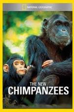 The New Chimpanzees