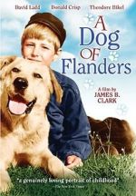 A Dog of Flanders