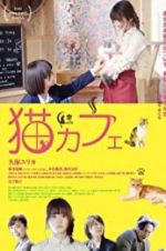 Cat Cafe