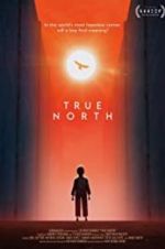 True North