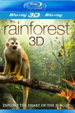 Rainforest 3D