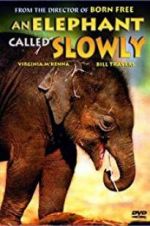 An Elephant Called Slowly