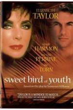 Sweet Bird of Youth