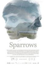 Sparrows