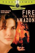 Fire on the Amazon