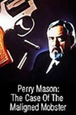 Perry Mason: The Case of the Maligned Mobster