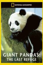 National Geographic Giant Pandas The Last Refuge