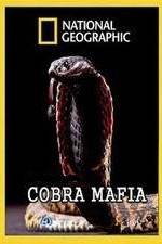 National Geographic Cobra Mafia