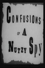 Confusions of a Nutzy Spy