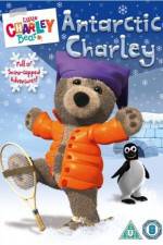 Little Charley Bear - Antarctic Charley