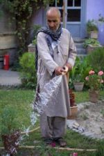 The Gardeners of Kabul