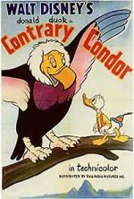 Contrary Condor