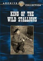 King of the Wild Stallions