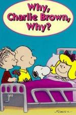 Why Charlie Brown Why