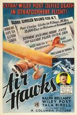 Air Hawks