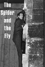 The Spider and the Fly