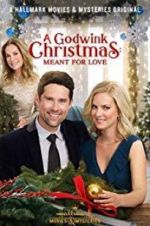 A Godwink Christmas: Meant for Love