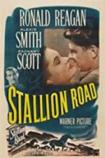 Stallion Road