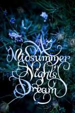 A Midsummer Night\'s Dream