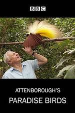 Attenborough's Paradise Birds