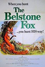 The Belstone Fox