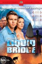 Liquid Bridge