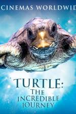 Turtle The Incredible Journey