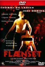 Flnset