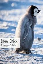 Snow Chick: A Penguin's Tale