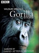 Gorilla Revisited with David Attenborough