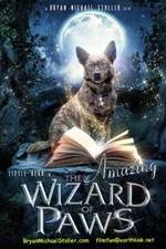 The Amazing Wizard of Paws