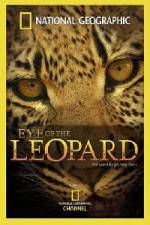 Eye of the Leopard