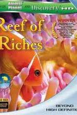 Equator Reefs of Riches