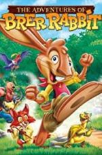 The Adventures of Brer Rabbit