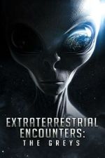 Extraterrestrial Encounters: The Greys