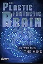 The Plastic Fantastic Brain