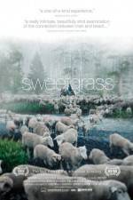 Sweetgrass