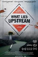 What Lies Upstream