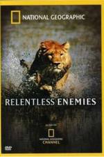 Relentless Enemies